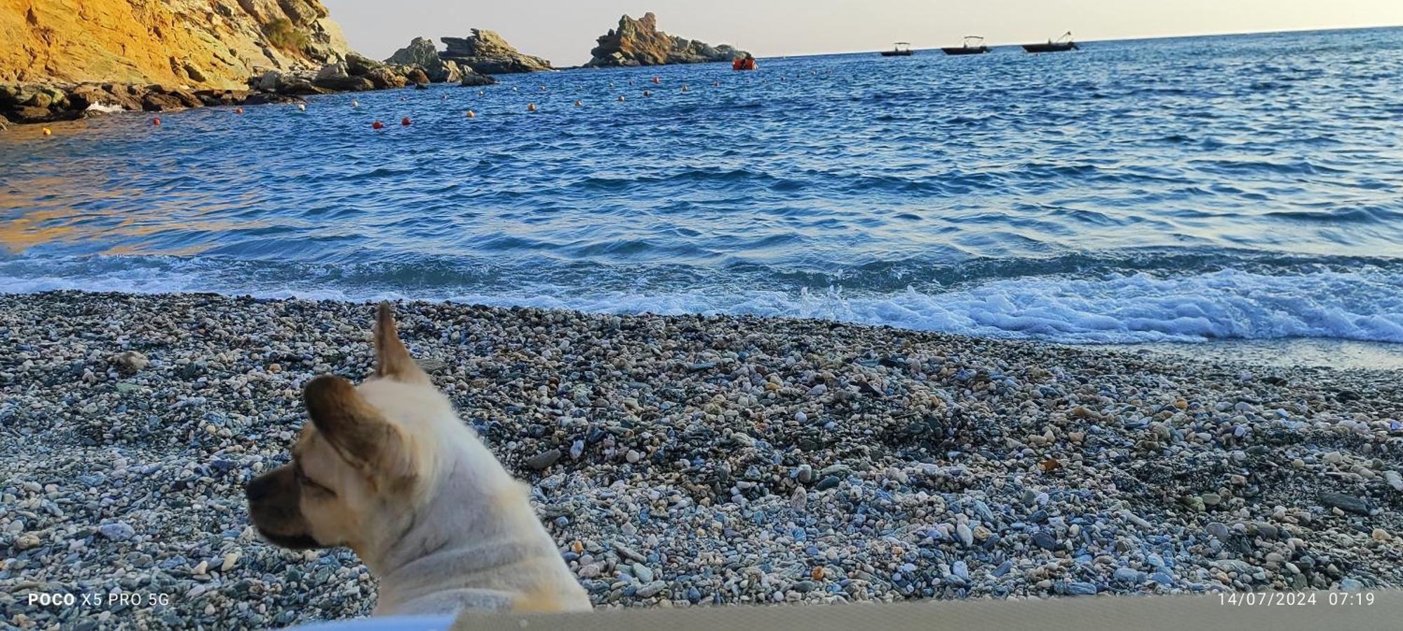 Mades Magic Place Agia Pelagia Екстериор снимка